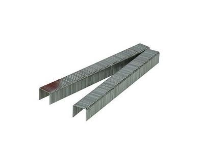 7/16" Crown x 3/8" Leg Galvanized Plain